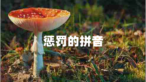 懲罰的拼音