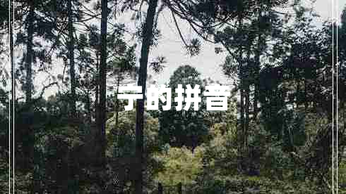 寧的拼音