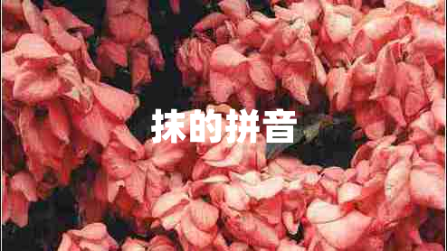 抹的拼音