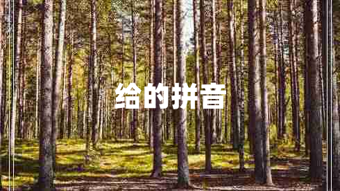 給的拼音