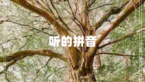 聽(tīng)的拼音