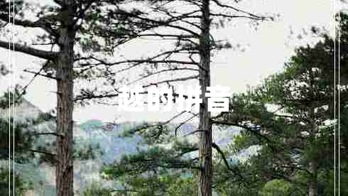 越的拼音