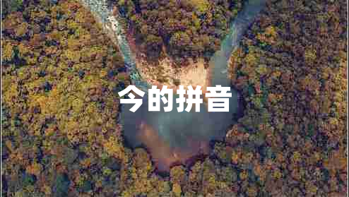 今的拼音