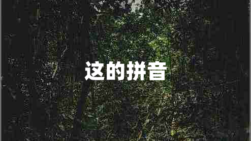 這的拼音