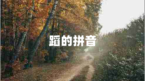 蹈的拼音