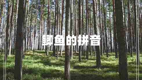 鯽魚(yú)的拼音