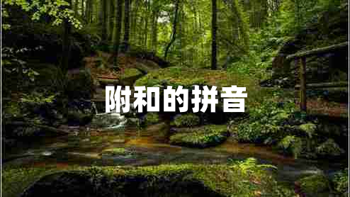 附和的拼音