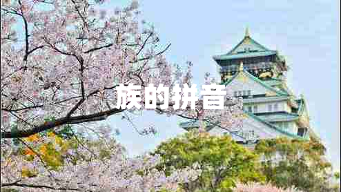 族的拼音