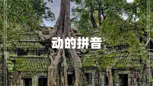 動(dòng)的拼音