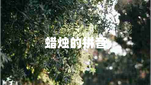 蠟燭的拼音