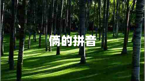 倆的拼音
