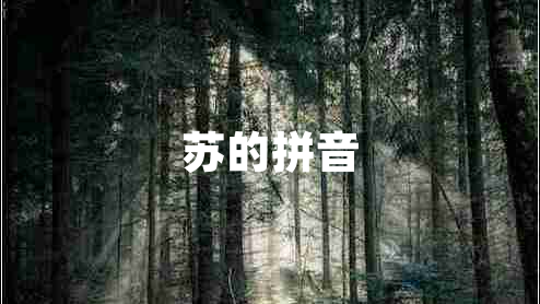 蘇的拼音