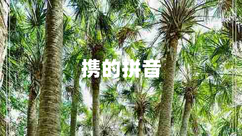 攜的拼音