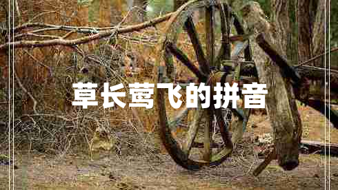 草長(cháng)鶯飛的拼音