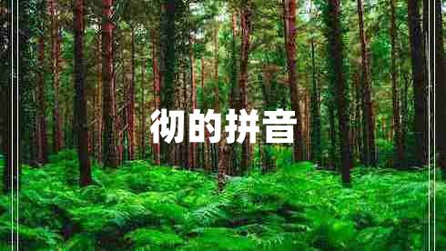 徹的拼音