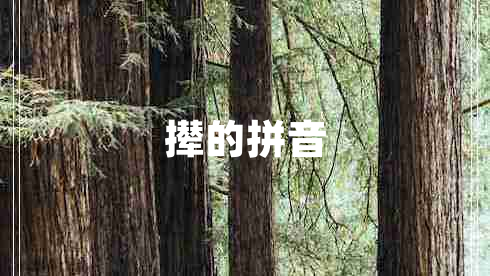 攆的拼音