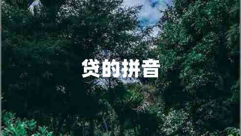 貸的拼音