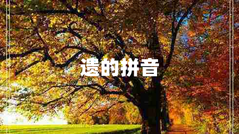 遺的拼音