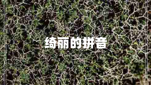 綺麗的拼音