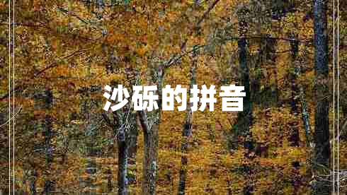 沙礫的拼音