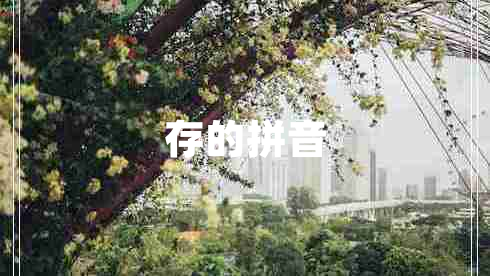 存的拼音