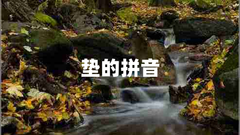 墊的拼音
