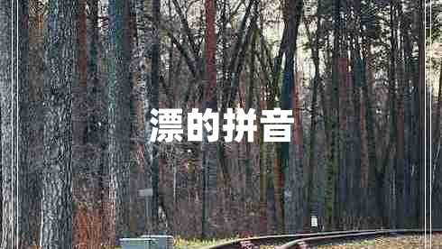 漂的拼音