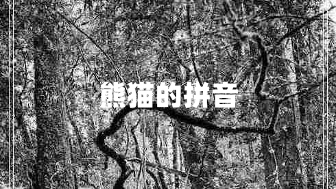 熊貓的拼音