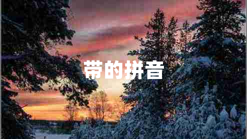 帶的拼音
