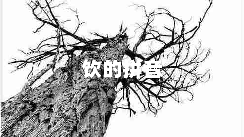 飲的拼音