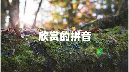 欣賞的拼音