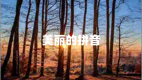 美麗的拼音