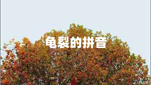 龜裂的拼音