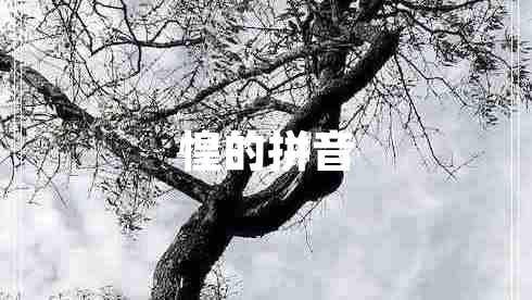 惶的拼音