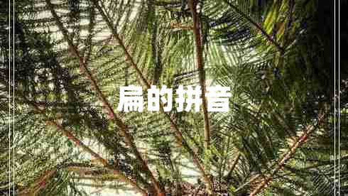 扁的拼音