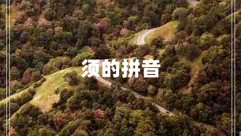 須的拼音