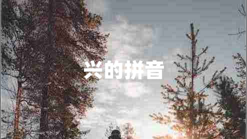 興的拼音