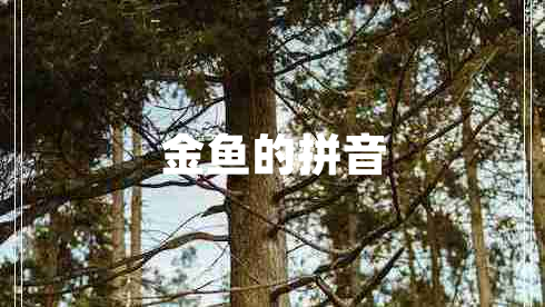 金魚(yú)的拼音