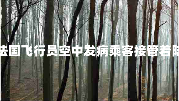 法國飛行員空中發(fā)病乘客接管著(zhù)陸