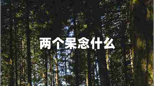 兩個呆念什么