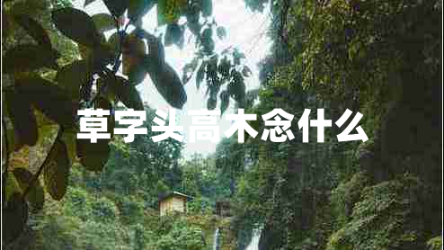 草字頭高木念什么