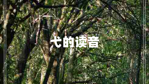 弋的讀音