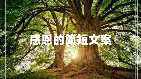 感恩的簡(jiǎn)短文案