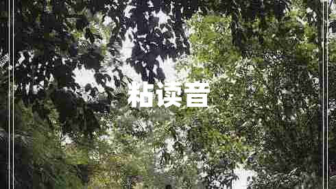 粘讀音