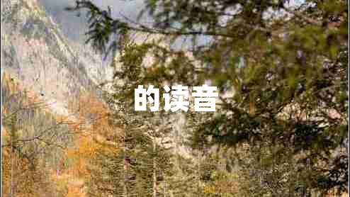 的讀音