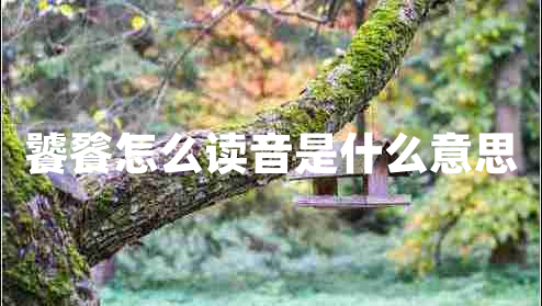 饕餮怎么讀音是什么意思