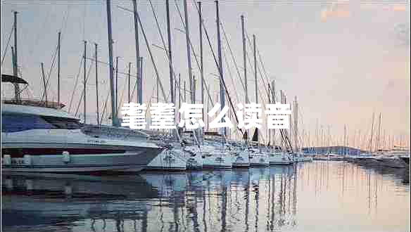 耄耋怎么讀音