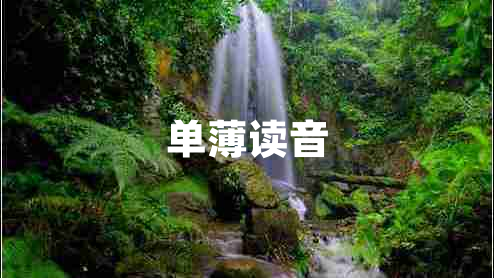 單薄讀音