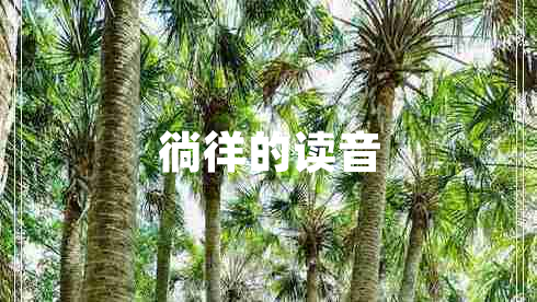 徜徉的讀音