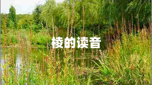 棱的讀音